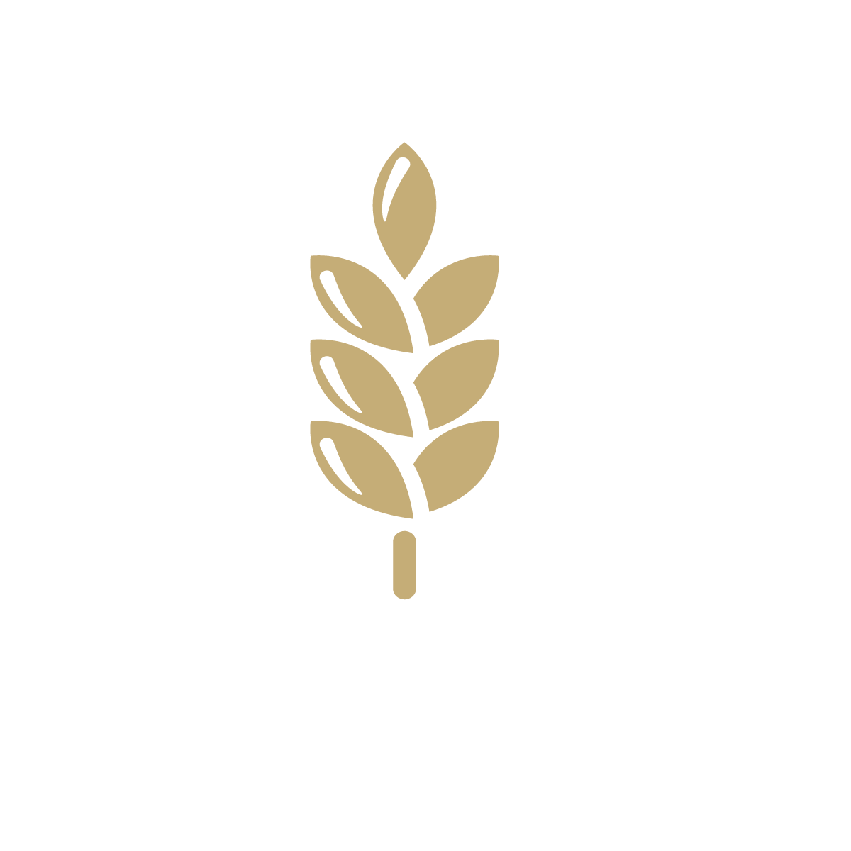 Gluten-Free