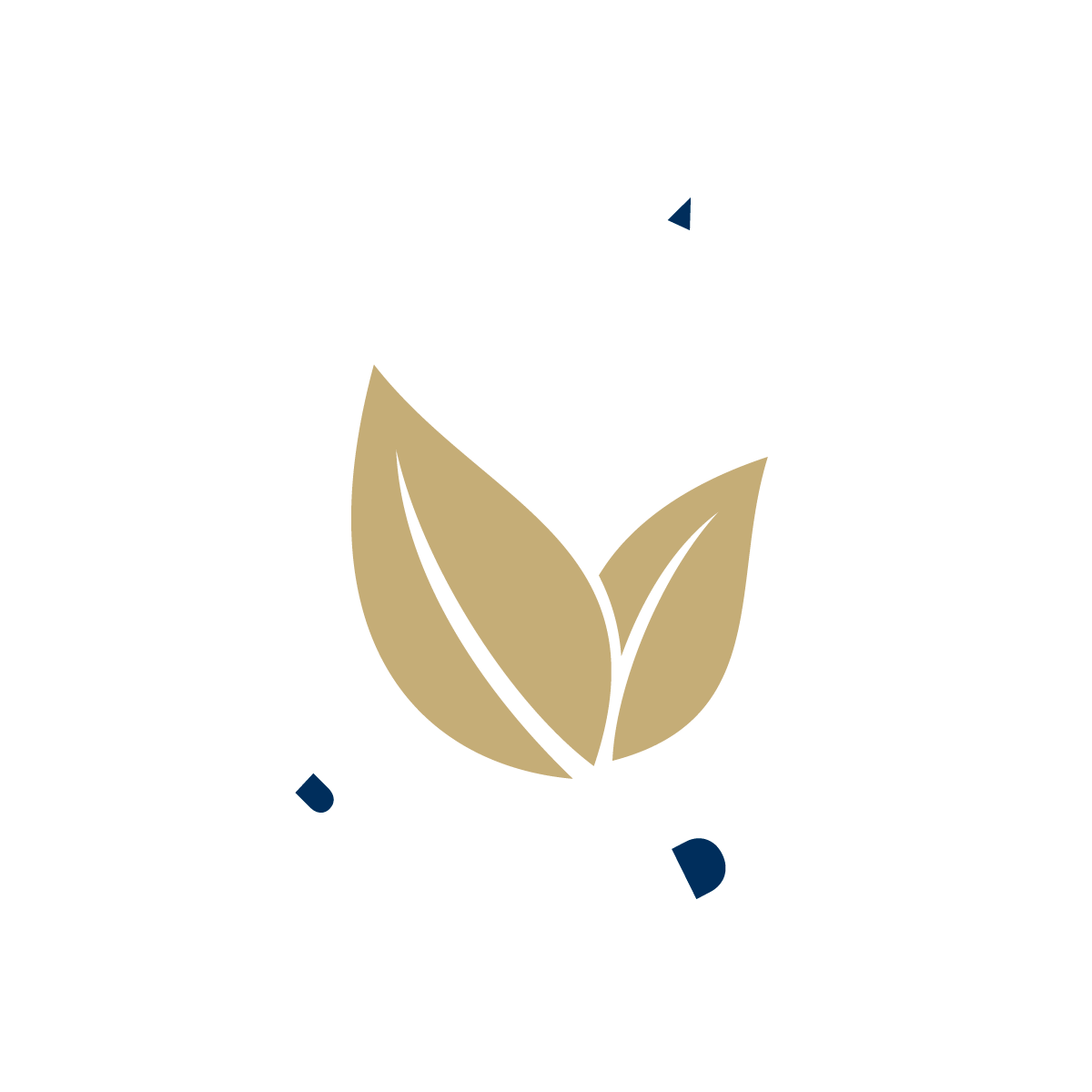 Vegan